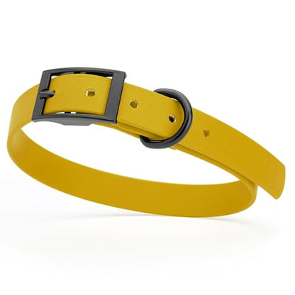 Dogline Biothane Waterproof Dog Collar Strong Coated Nylon Webbing with Black Hardware Odor- Proof for Easy Care Easy to Clean High Performance Fits Small Medium or Large Dogs, Treasure Gold