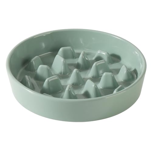 Havniva Ceramic Slow Feeder Dog Bowls, 3.2 Cups Dog Bowl Slow Feeding for Medium and Large Breed, 9.5inch Puzzle Dog Food Bowl Slow Feeder Non-Slip Anti-Gulping and Anti-Choking Reduces Bloating - color: 1 x Light Green-C, size: 9.5inch