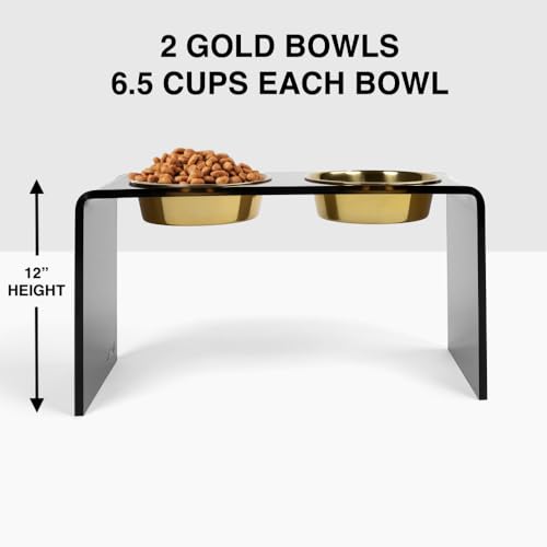 Hiddin Double Elevated Dog Bowl Stand for Medium or Large Dogs, All Breeds, Smoke Grey Acrylic 12 Inch Raised Dog Bowl Stand with Two Gold Bowls for Food and Water - 6.5 Cups Each Dish