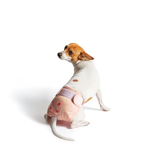 rocket & rex Washable Reusable Female Dog Diapers with Snaps (Small, 3ct) | Adjustable for a customized, snug fit. Includes liner pocket for extra absorbency. Guaranteed for 300 washes. - size: Small