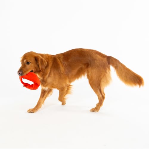 Playology Dog Toys | Plush Toy Crinkle Ring for Large Dogs | Beef Scented Jumbo Plush Chew Toy - size: Jumbo Ring, style: Beef