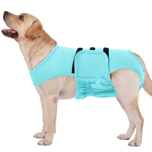 Lelepet Reusable Dog Diapers Female, Dog Period Panties, Washable Belly Band Dog with Suspenders, Dog in Heat Products, Soft Adjustable Doggie Onsie with Hole Tail, Blue, M - color: Blue, size: M