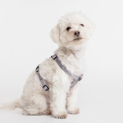 Fei & Eve Moxie Dog Harness for Small & Medium Dogs, Twilight Gray, XS | Lightweight Design, 3-Point No-Pull Control, Quick Release Metal Buckle - color: Twilight Gray, size: XS