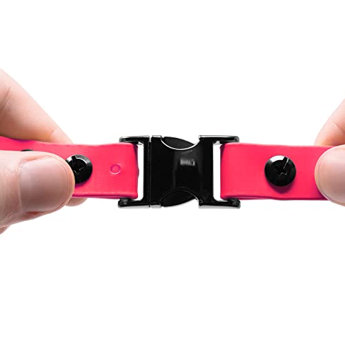 Educator 1-Inch Dog Training Collar Strap – ONLY Fits FE-580, ET-800 & UL-1200 Receivers – NOT Compatible with Mini Educator (ET-300/ET-400) – Quick Snap Biothane Bungee Collar, Pink - color: Pink