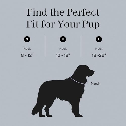 Fei & Eve VERO Dog Collar, Dusk Blue, Medium | MagEase Magnetic Buckle, Waterproof PVC, Odor Resistant, Easy Clean, Heavy Duty - color: Dusk Blue, size: M