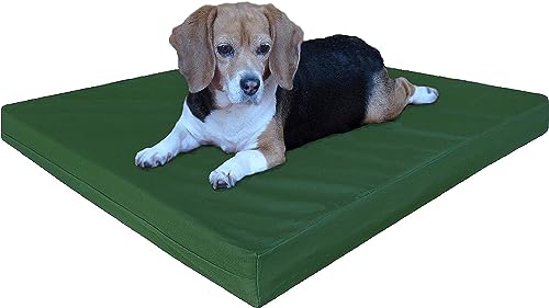 Dogbed4less Orthopedic Gel Infused Memory Foam Dog Bed, Waterproof Liner with Durable Canvas Cover, 37X27X4 Inch - color: Canvas in Olive Green, size: Large 37" Length X 27" Width