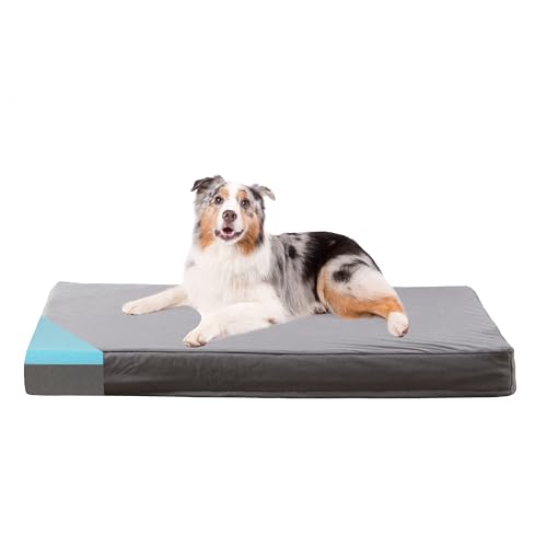 Orthopedic Memory Foam Dog Bed, Cooling Dog Beds Waterproof Pet Bed for Crate with Removable Washable Cover, L(35inch,65Lbs) - color: Short Plush, size: Large-35"x 22" x 3"
