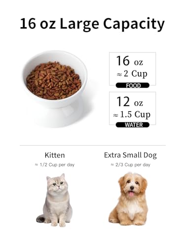 ABRUTY Cat Water Bowl, 16 OZ Ceramic Elevated Cat Bowls, 15° Tilted and Raised Pet Food Dish, Anti Vomiting Protect Pets' Spines and Whisker Fatigue - color: White, size: 1 Pack