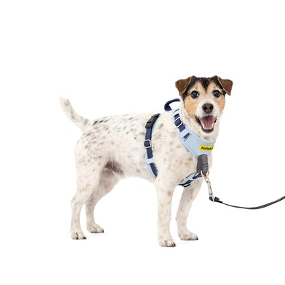 PetSafe Easy Walk Comfort No-Pull Dog Harness Full-Body Padding - Better Walks on the First Use - 5 Points of Adjustment Small, Blue - color: Blue, size: Small