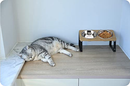AYADA Elevated Cat Bowls, Height Adjustable Raised with Stand Lifted Ergonomic Anti Vomiting Non Slip Slanted Tilted Double Bowls Food Water Stainless Steel - color: Stainless Steel