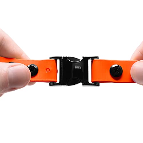E-Collar Educator 1-Inch Quick Snap Bungee Dog Collar Strap, Orange | Fits FE-580, ET-800 & UL-1200 Receivers Only, 33" Trim-to-Fit, Waterproof, Biothane Collar - color: Orange