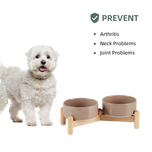 Havniva 5.1inch Ceramic Raised Dog Bowl with Stand, Double Dog Bowls Elevated for Small Breed Dog Food and Water Bowl Set Non-Slip Dog Dish Large Capacity Feeding Pet Water Bowl - color: 2 Bowls+Stand - Brown Coffee, size: 5.1inch