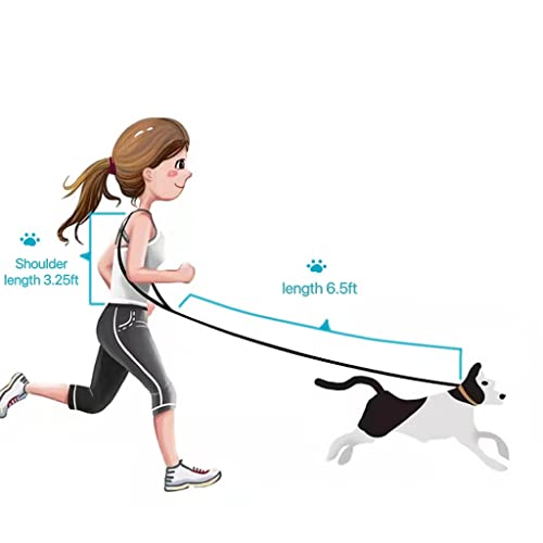 Hands Free Dog Leash Waist & Crossbody Rope with Slip Lead Durable for 2 Dogs Nylon Reflective Heavy Duty Hiking Running Leash for Medium Large Dogs(Rainbow, 13Ft) - color: Rainbow