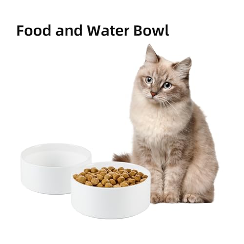 Havniva 5.1” Ceramic Dog Bowls, Small Dog Food and Water Bowl Set of 2, Durable Dog Water Bowl with Non-Slip Rubber Base Large Capacity Pet Feeding Bowl for Small Dogs - color: Matte White, size: 5.1 Inch