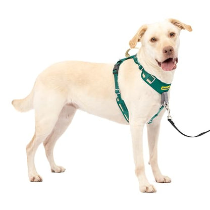 PetSafe Easy Walk Comfort No-Pull Dog Harness Full-Body Padding - Better Walks on the First Use - 5 Points of Adjustment Large, Green - color: Green, size: Large