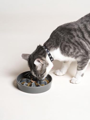 Ceramic Slow Feeder Dog Bowls Small Breed, 0.5 Cups Dog Food Dish for Fast Eaters, Puzzle Bowl for Small Dogs and Cats, 5.5 Inch-Grey - color: Grey