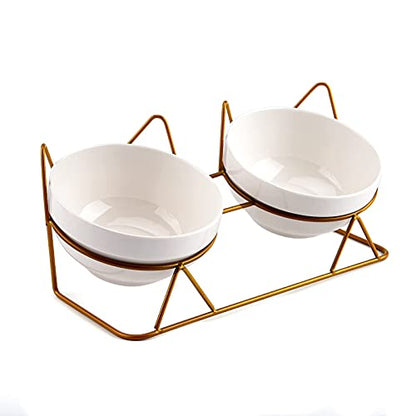 Trosetry Cat Bowls, Double Ceramic Pet Bowls with 15°Tilted Raised Stand for Food and Water, Anti Vomiting Cat Dish Feeder, Perfect for Puppy Cats and Small Dogs(Double Bowls1)