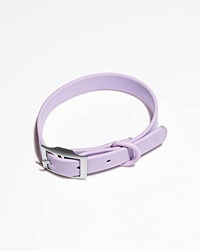Wild One Dog Collar, Easy-Clean, All Weather Flex-Poly Strap with Metal, Durable, Dirt and Odor Resistant (Lilac, M) - color: Lilac, size: M