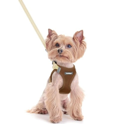 rabbitgoo Dog Harness Small Sized and Leash Set, Step in Soft Light Puppy Vest, Breathable Mesh Pet Harness, Reflective for Safe Easy Walking, Brown & Beige XXS - color: Brown & Beige, size: Xxs (chest: 12.4 - 14.2")
