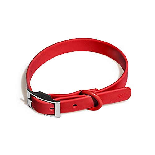 Wild One Dog Collar, Easy-Clean, All Weather Flex-Poly Strap with Metal, Durable, Dirt and Odor Resistant (Strawberry, XS) - color: Strawberry, size: XS