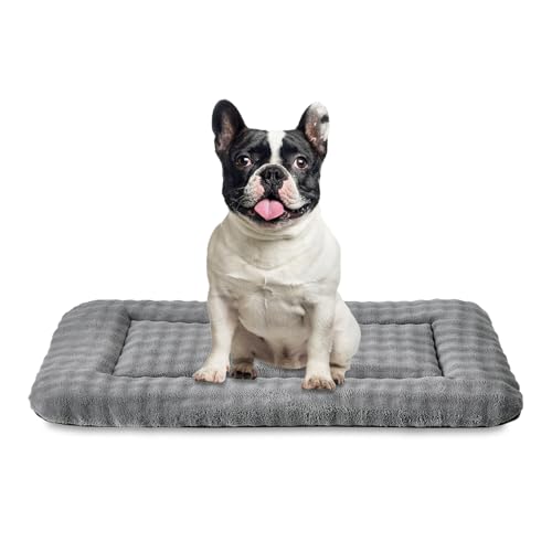 Dog Bed Mat Crate Pad for Medium Dogs, Washable Soft Pet Sleeping Mat Kennel Pad with 3D Bubble Pattern, Grey, 30"x 19" - color: Grey, size: 30"L x 19"W x 1.5"Th