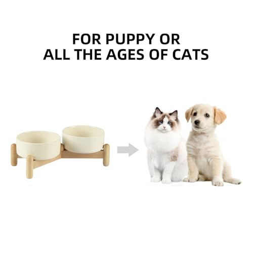 Havniva 5.1inch Ceramic Raised Dog Bowl with Stand, Double Dog Bowls Elevated for Small Breed Dog Food and Water Bowl Set Non-Slip Dog Dish Large Capacity Feeding Pet Water Bowl - color: 2 Bowls+Stand - Light Yellow, size: 5.1inch