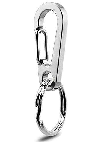 Papileo Dog Tag Clips / 1 Pack/Multiple Size 304 Stainless Steel Quick Clip with Rings/Easy Change Dog Cat ID Tag Holder for Small pet Collars and Harnesses.
