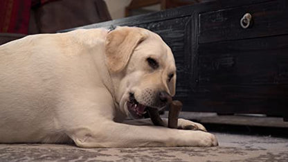 Hero - Bonetics Wishbone - Dog Bones - Puppy Bones - Designed for Medium Dogs Up to 45 lbs (Bacon Flavor)