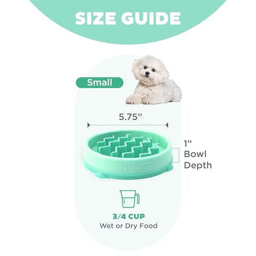 Outward Hound Fun Feeder Slo Bowl – Small 3/4-Cup Capacity, Slow Feeding, Small Dogs, Puppies & Cats, Non-Slip, Mint, Wave Pattern - color: Mint, size: Small