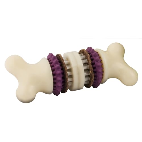 PetSafe Busy Buddy Bristle Bone, Large, Helps Keep Your Dog's Teeth Clean, Long-Lasting Playtime - size: Large, style: Bristle Bone