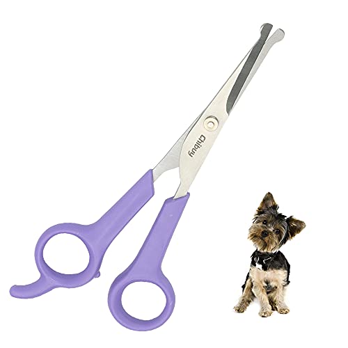 Chibuy Professional Pet Grooming Scissors with Round Tip Stainless Steel Dog Eye Cutter for Dogs and Cats, Professional Grooming Tool, Purple, Size 6.70" x 2.6" x 0.43" - color: 3. Purple