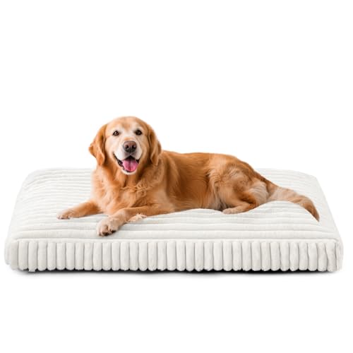 Dog Bed for Large Dogs, Orthopedic Dog Beds Washable with Removable Cover, Extra Thick Crate Bed Pet Mat with Shredded Chopped Foam & Anti-Slip Bottom, 35"x23"x4", Cream - color: Cream, size: L(35"x23"x4")