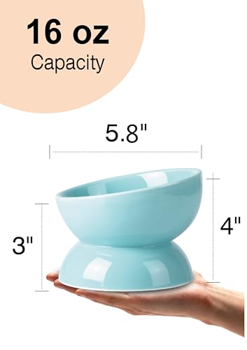 ABRUTY Cat Water Bowl, 16 OZ Ceramic Elevated Cat Bowls, 15° Tilted and Raised Pet Food Dish, Anti Vomiting Protect Pets' Spines and Whisker Fatigue, Turquoise - color: Turquoise, size: 1 Pack