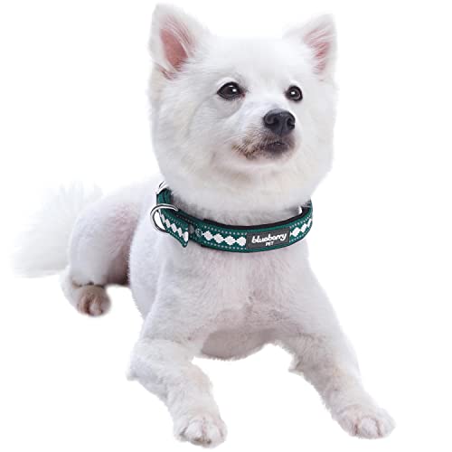 Blueberry Pet Reflective Jacquard Dog Collar with Neoprene Padding & Metal Buckle | Soft & Adjustable Safety Collar - Teal Blue - color: Metal Buckle-Teal Blue, size: Small
