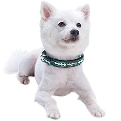 Blueberry Pet Reflective Jacquard Dog Collar with Neoprene Padding & Metal Buckle | Soft & Adjustable Safety Collar - Teal Blue - color: Metal Buckle-Teal Blue, size: Small