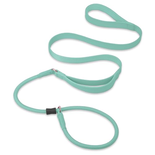 Slip Lead Dog Leash, Double Handle, Soft Leather, Heavy Duty Nylon, No Pull Walking, 5ft Mint Green - color: Mint Green, size: 5ft