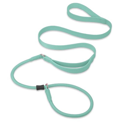 Slip Lead Dog Leash, Double Handle, Soft Leather, Heavy Duty Nylon, No Pull Walking, 5ft Mint Green - color: Mint Green, size: 5ft