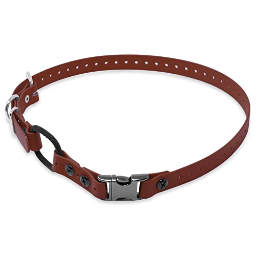 Educator 1-Inch Biothane Dog Training Collar Strap – ONLY Fits FE-580, ET-800 & UL-1200 Receivers – NOT Compatible with ET-300, ET-400 or EZ-900 – Quick Snap Bungee Collar, Brown - color: Brown