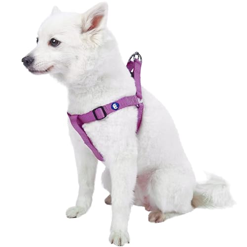 Blueberry Pet Essentials Step-in Dog Harness, Small Size | Adjustable Violet Vest | Classic Solid Nylon for Boy & Girl Dogs, Chest Girth 16.5" - 21.5" - color: Violet, size: Small