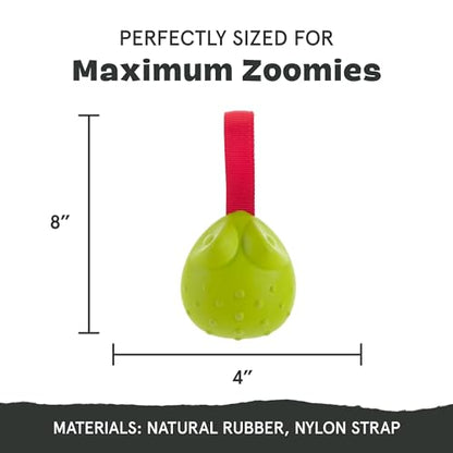 Barkbox Tug Tied Toad Dog Toy for Tough Chewers – Durable Rubber Design, Perfect for Tug-of-War - color: Tug Tied Toad-Large