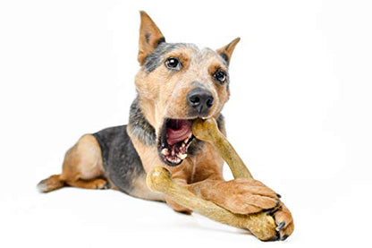 Pet Qwerks Wishbone BarkBone - Nylon Chew Toy for Aggressive Chewers - Peanut Butter Flavor - 8.25"