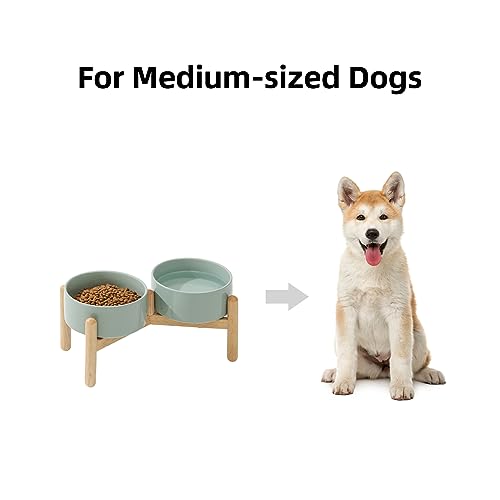 Havniva 6.1inch Ceramic Raised Dog Bowl with Stand, Double Dog Bowls Elevated for Small and Medium Breed Dog Food and Water Bowl Set Non-Slip Dog Dish Large Capacity Feeding Pet Water Bowl - color: 2 Bowls+Stand - Light Green, size: 6.1inch
