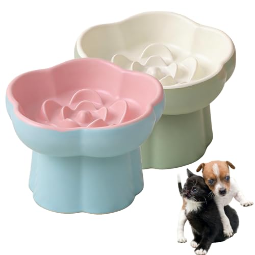 Ceramic Elevated Slow Feeder Cat Bowl,Anti Vomit Design for Whisker Fatigue Relief,Elevated Slow Feeder Bowls for Indoor Cats&Small Breeds,Perfect for Wet Food&Small Dogs (2, Green and Blue) - color: Green & Blue, 2