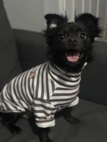 Turtleneck Dog Shirt Cute Doggie Embroidery Super Soft Dog Sweatshirt Stretchy Striped Puppy Pullover for Cats Small Medium Large Dogs (Black Striped, Large) - color: Black Striped, size: Large