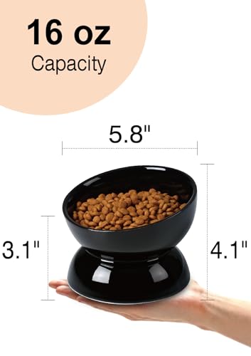 ABRUTY Cat Water Bowl, 16 OZ Ceramic Elevated Cat Bowls, 15° Tilted and Raised Pet Food Dish, Anti Vomiting Protect Pets' Spines and Whisker Fatigue - color: Black, size: 1 Pack