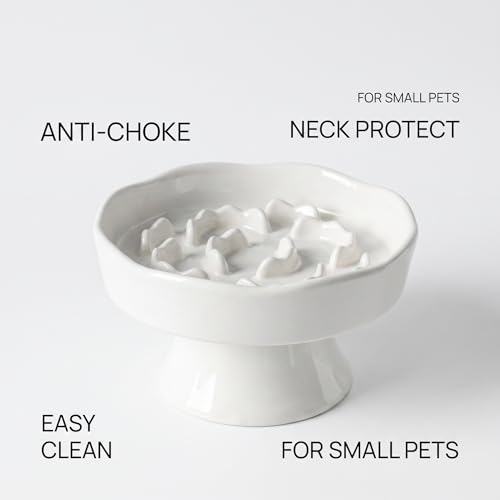 Elevated Ceramic Slow Feeder Dog Bowl | Raised Maze Puzzle Feeder Small Medium Dogs | Anti-Vomit Reduces Bloating | Non-Slip Enrichment Puppy Bowl - color: White