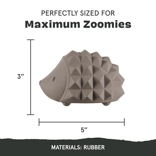 Barkbox Sven The Hedgie Super Chewer Dog Toy | Natural Rubber, Wacky Bounce & Rippled Texture | Durable Dog Toy for Aggressive Chewers, Medium to Large Dogs - color: Hedgehog