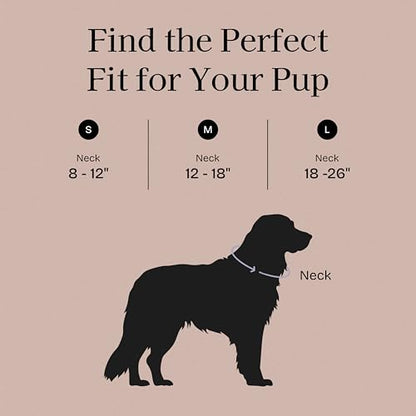 Fei & Eve VERO Dog Collar, Blush, Large | MagEase Magnetic Buckle, Waterproof PVC, Odor Resistant, Easy Clean, Heavy Duty - color: Blush, size: L
