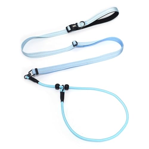 QQPETS Adjustable Slip Lead Dog Leash, Hands Free Waist Leash for Dog Walking, Reflective Training Lead with 360° Swivel Anti-Tangle, 4-7 ft Length for All Breeds - color: Blue Gradient