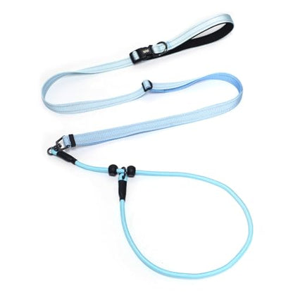 QQPETS Adjustable Slip Lead Dog Leash, Hands Free Waist Leash for Dog Walking, Reflective Training Lead with 360° Swivel Anti-Tangle, 4-7 ft Length for All Breeds - color: Blue Gradient